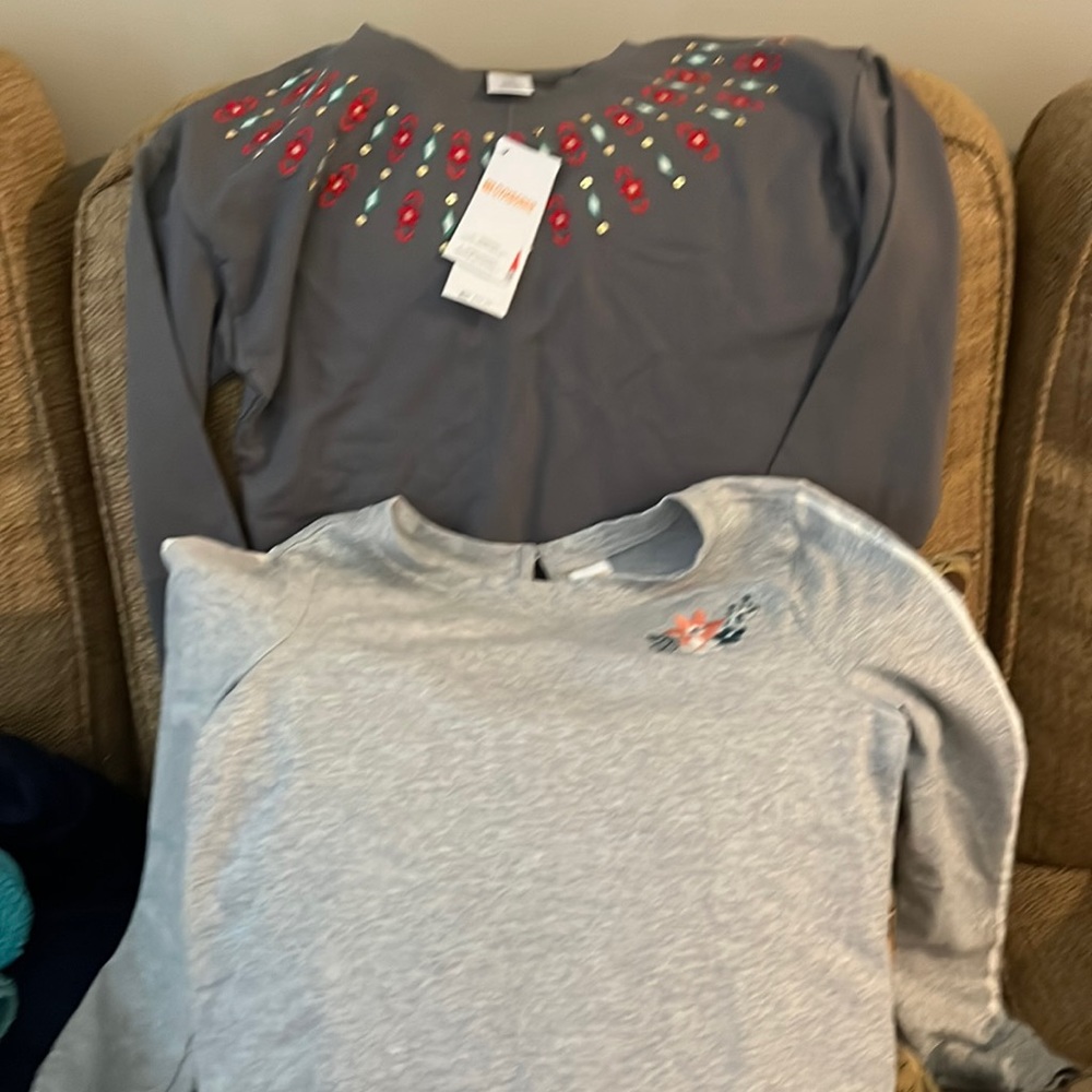 Set of 2 Gymboree size 10-12 sweatshirt tunic dresses. One still has tags.